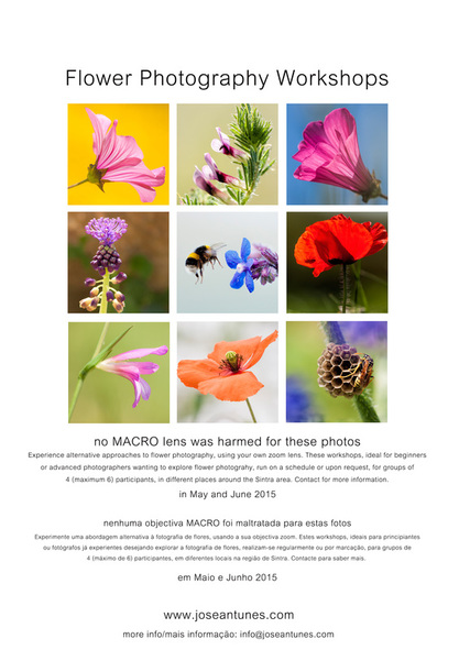 flower photography workshops
